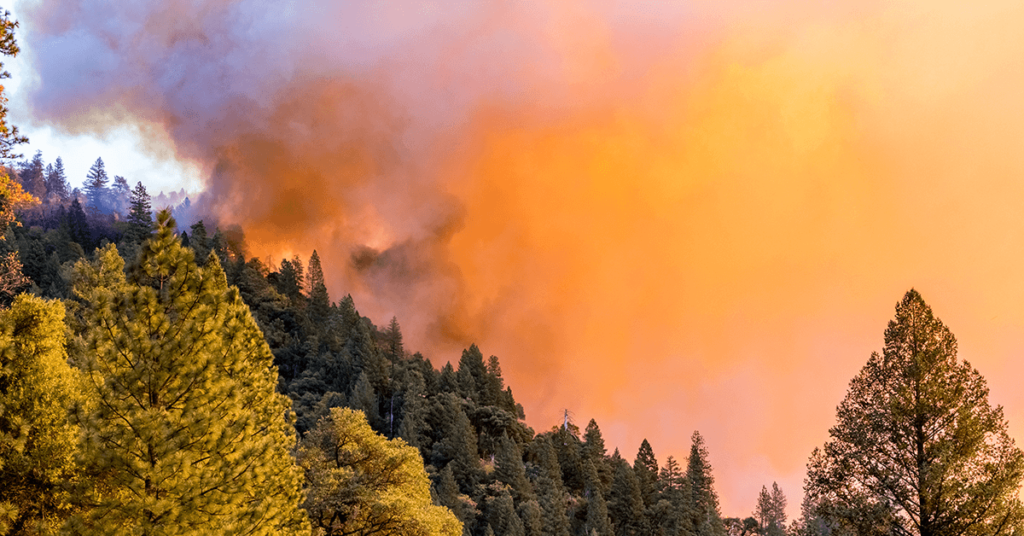 A large cloud of smoke from a wildfire that will cause Business Interruption