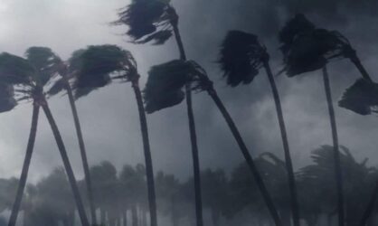 Palm trees aggressively blown by a hurricane